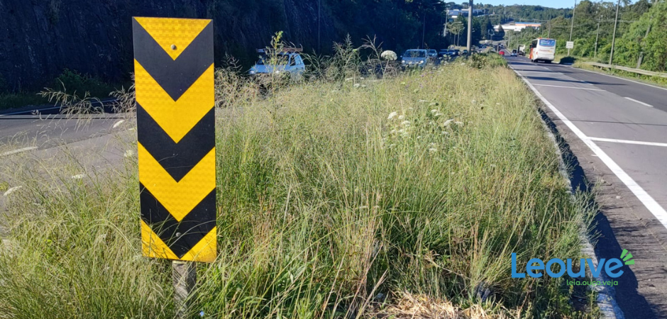 Matagal prejudica visibilidade dos motoristas na ERS-122, em Caxias do Sul